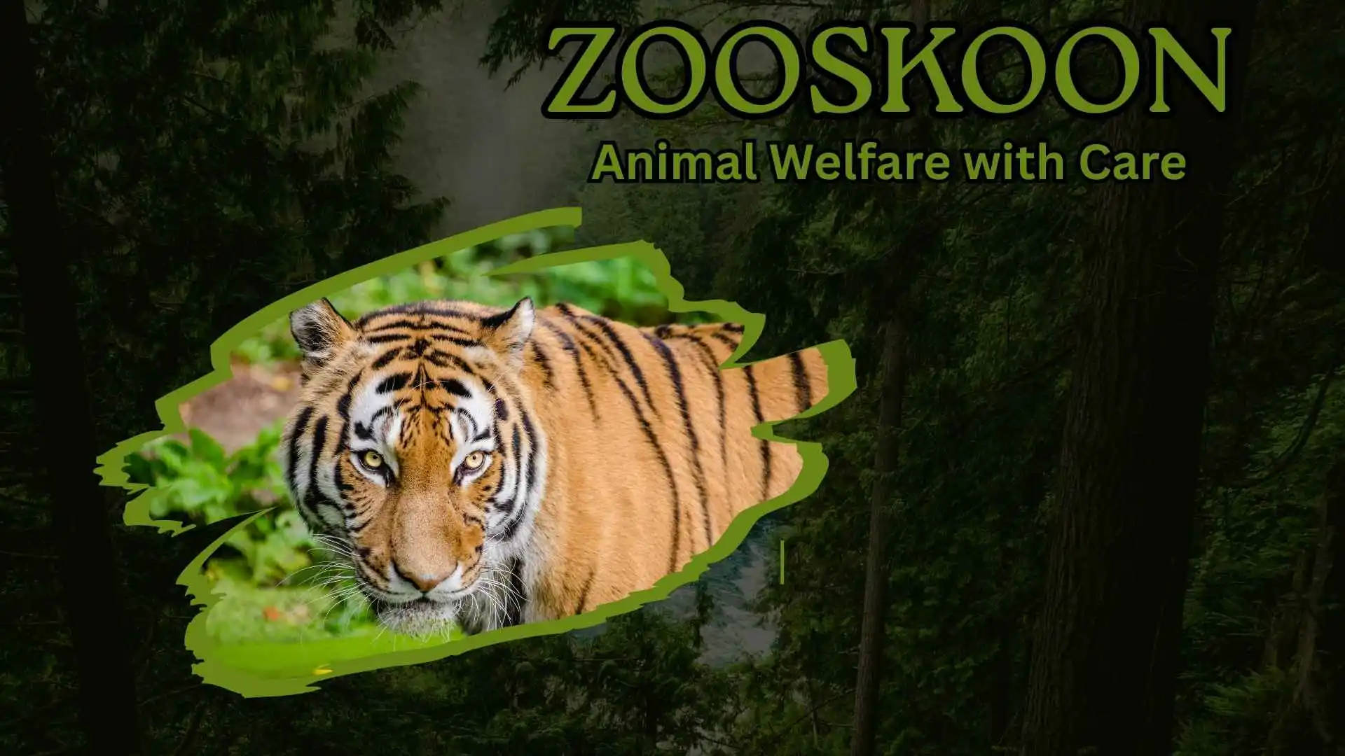 Zooskooñ