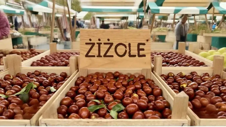 Žižole